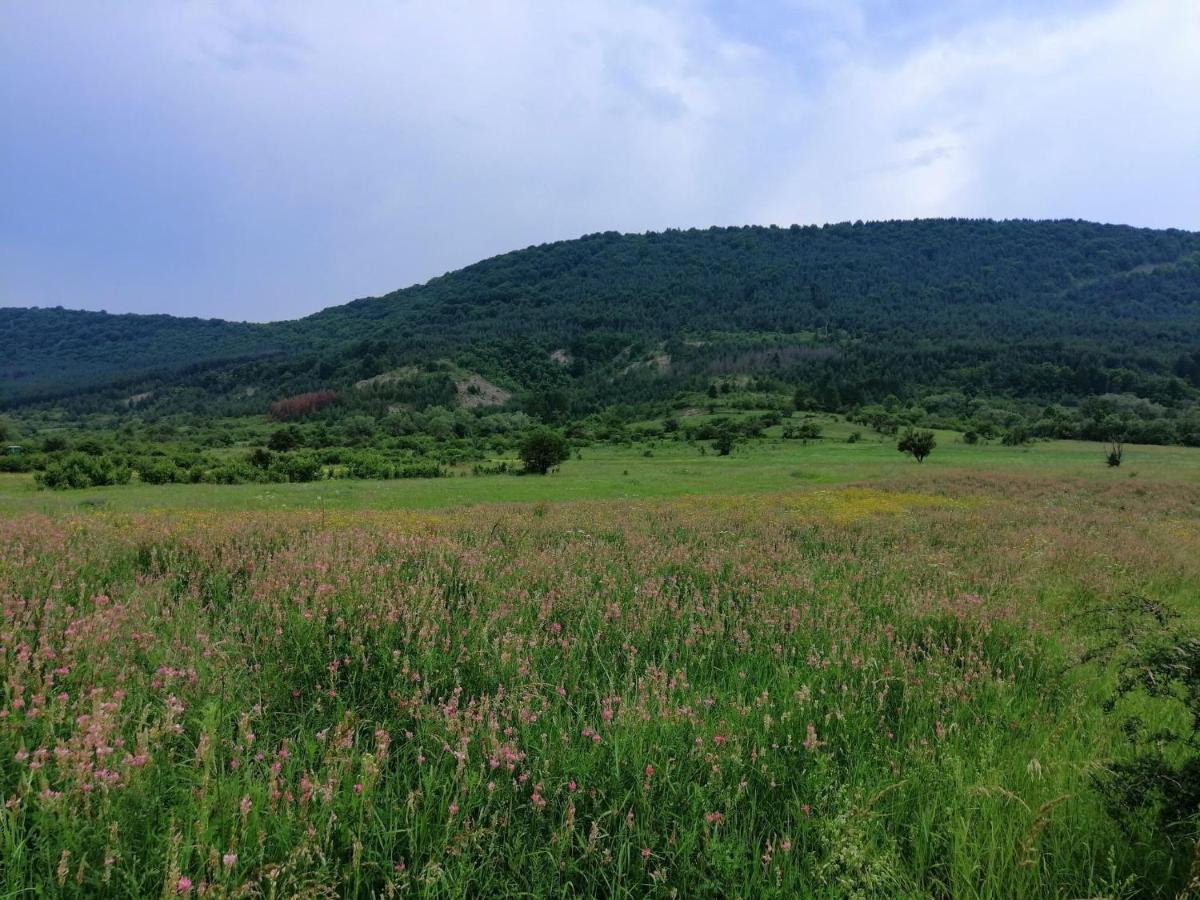 Etno Kuca Nikolov Villa Dimitrovgrad Eksteriør bilde